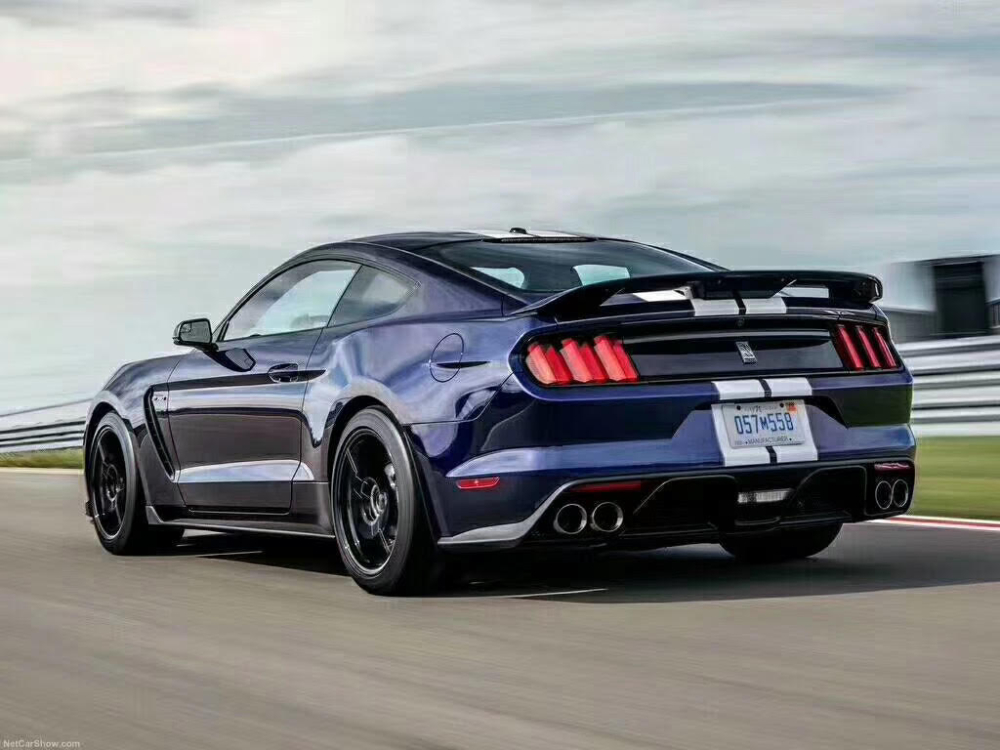 GT500 Style Vinge(MUSTANG 15-20 Fastback) - 6