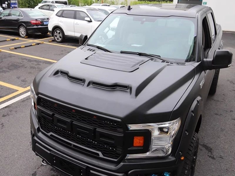Stålhuv – Shelby Baja Edition (F150 15-20) - 5
