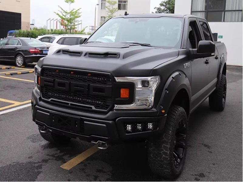 Stålhuv – Shelby Baja Edition (F150 15-20) - 4