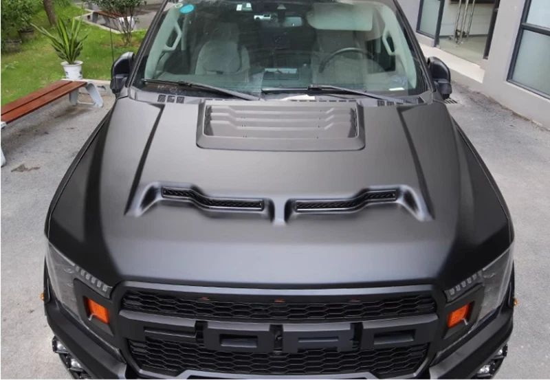 Stålhuv – Shelby Baja Edition (F150 15-20) - 7