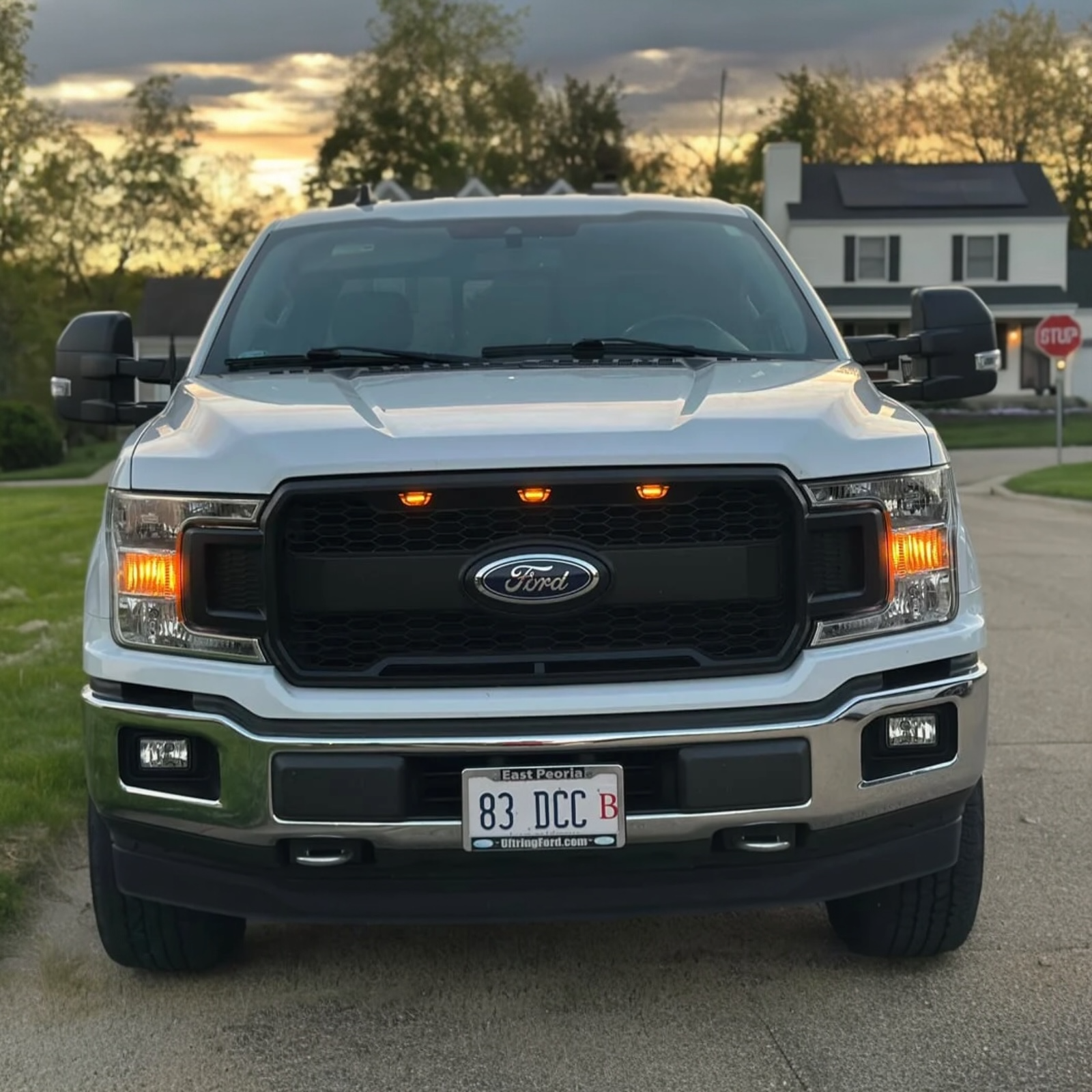 Övre grill – Raptor Style (F150 18-20) - 4