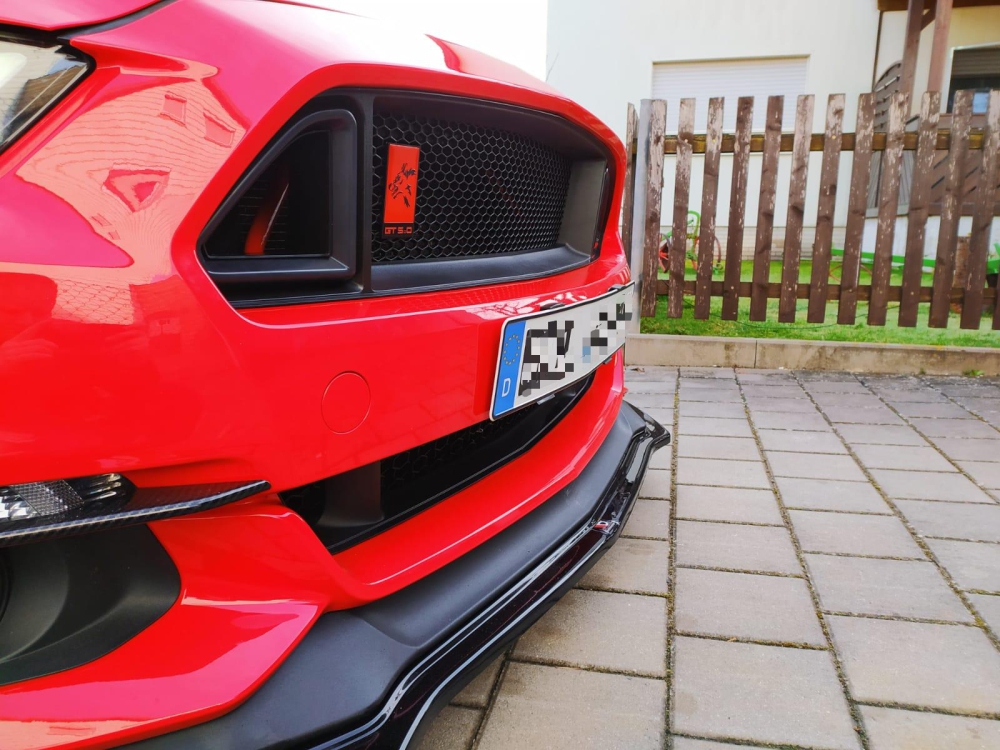RTR Övre Grille (MUSTANG 15-17 Ecoboost, V6, GT)