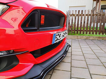 RTR Övre Grille (MUSTANG 15-17 Ecoboost, V6, GT)