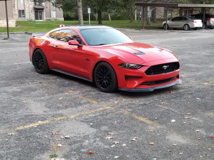 RTR Frontläpp (MUSTANG 18-20 Ecoboost, GT) - 2