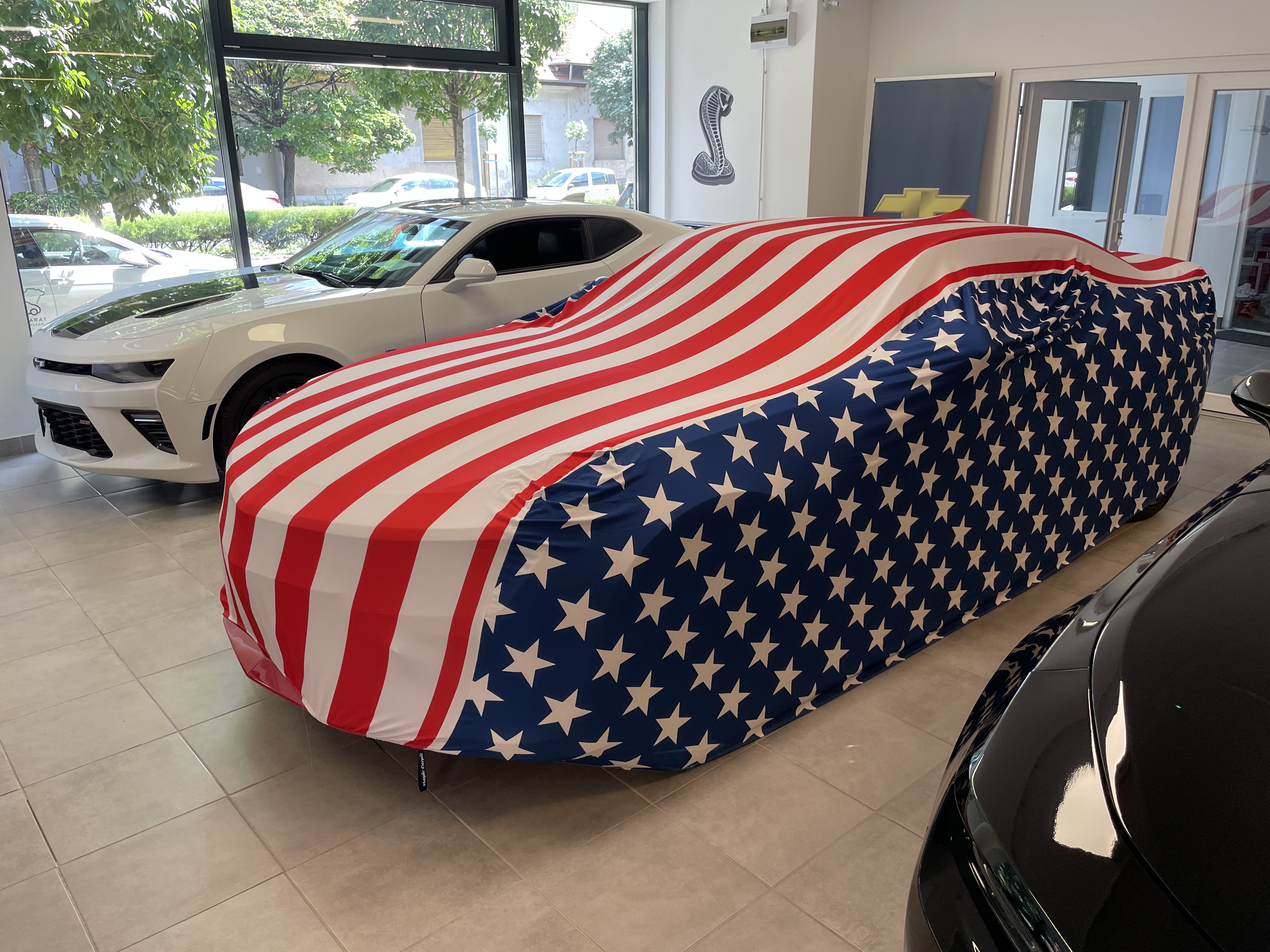 Bilöverdrag USA Design – MAGIC CARPIT - 12