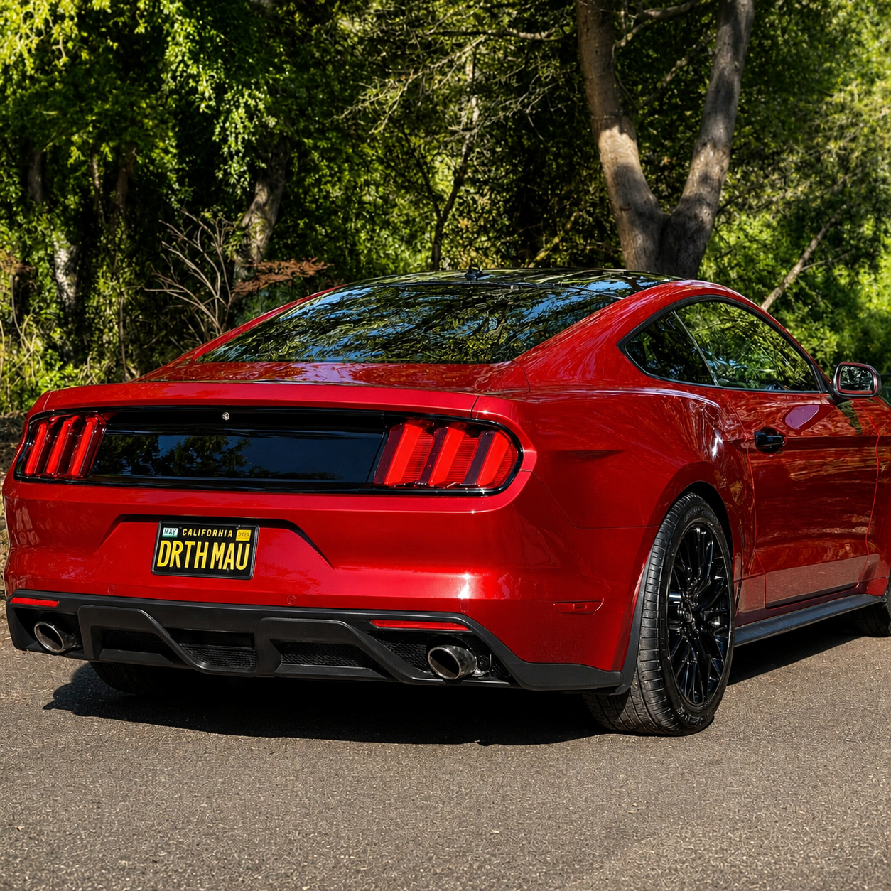 Bakre diffuser – GT350 stil – enkla ändrör (Mustang 15-17 GT Premium, EcoBoost Premium)