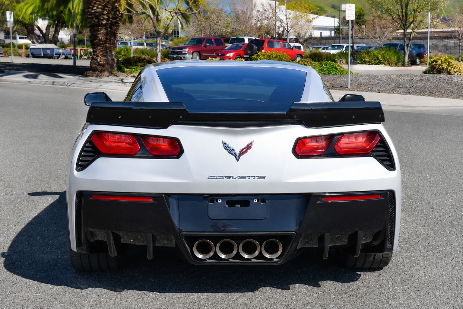 EOS diffuserfenor bak – blanksvarta (CORVETTE C7 14–19) - 3