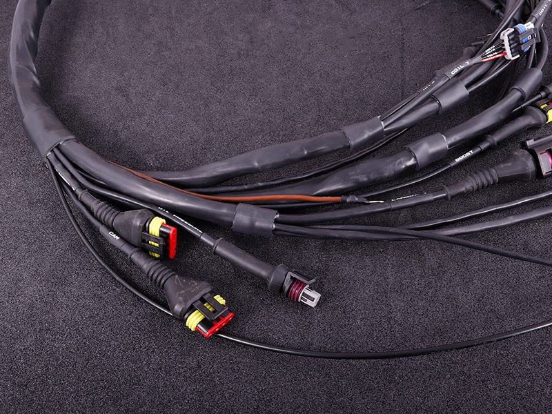 Kontakterad kabelhärva för GM LS GEN III/IV inkl MaxxECU RACE kit - 3