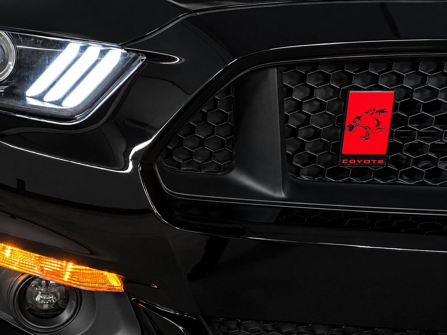 COYOTE Emblem (Mustang 05-26) - 3