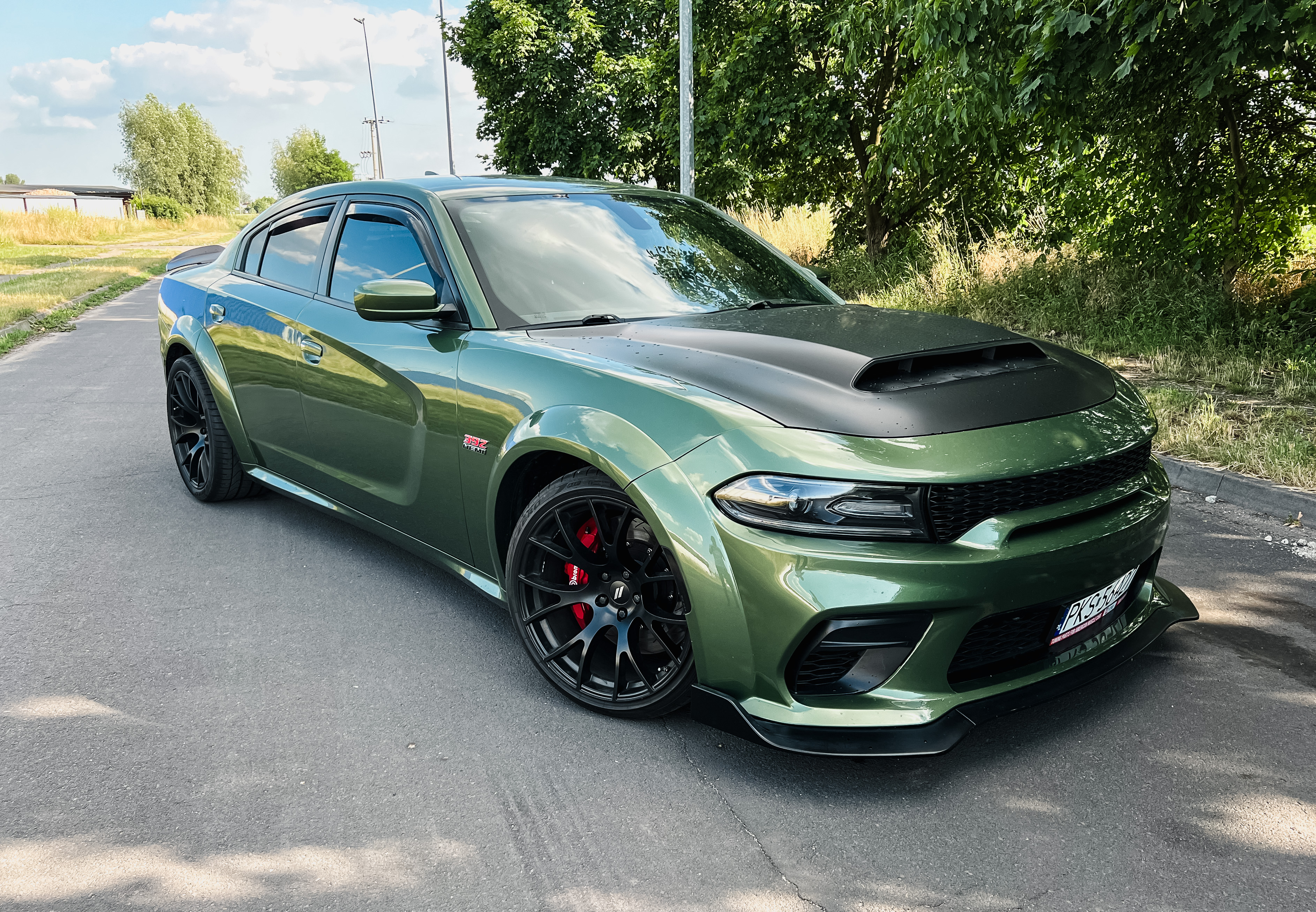Motorhuv i aluminium – Demon-stil - 5
