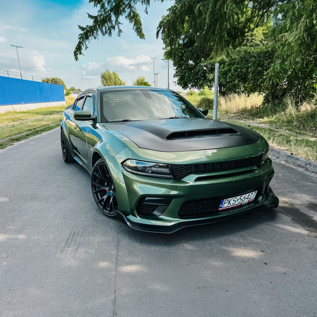 Motorhuv i aluminium – Demon-stil - 4