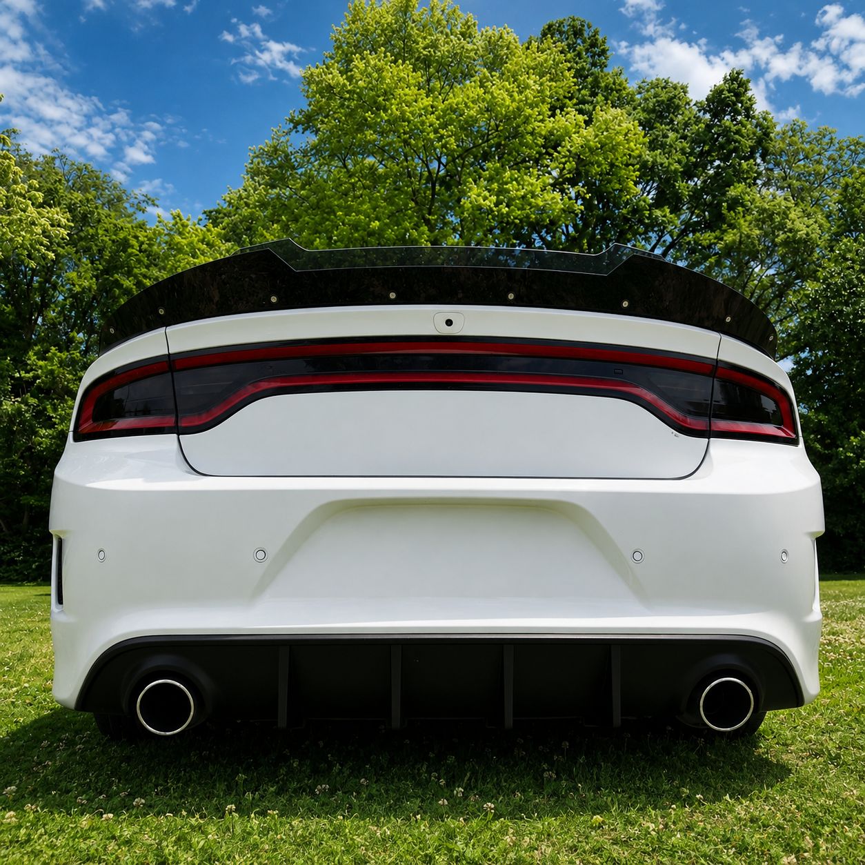 Wicker bill till SRT-bakspoiler - 8