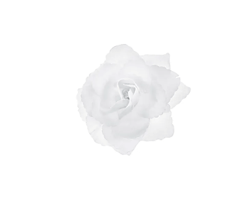 Självhäftande rosetter - Vita 24-pack - Bröllop