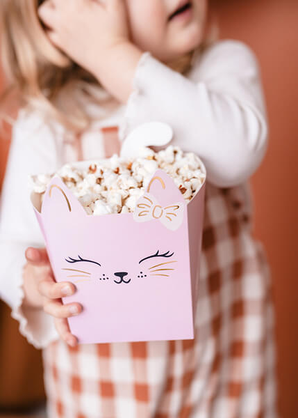 Popcornbox - Katt  -2