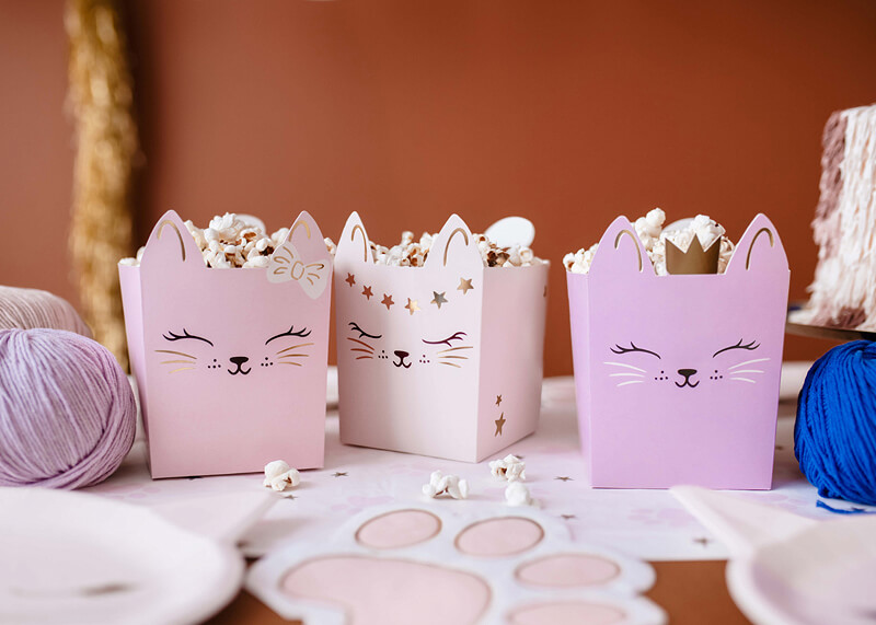 Popcornbox - Katt 