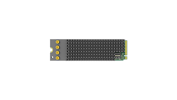 Magewell Eco Capture Quad SDI M.2