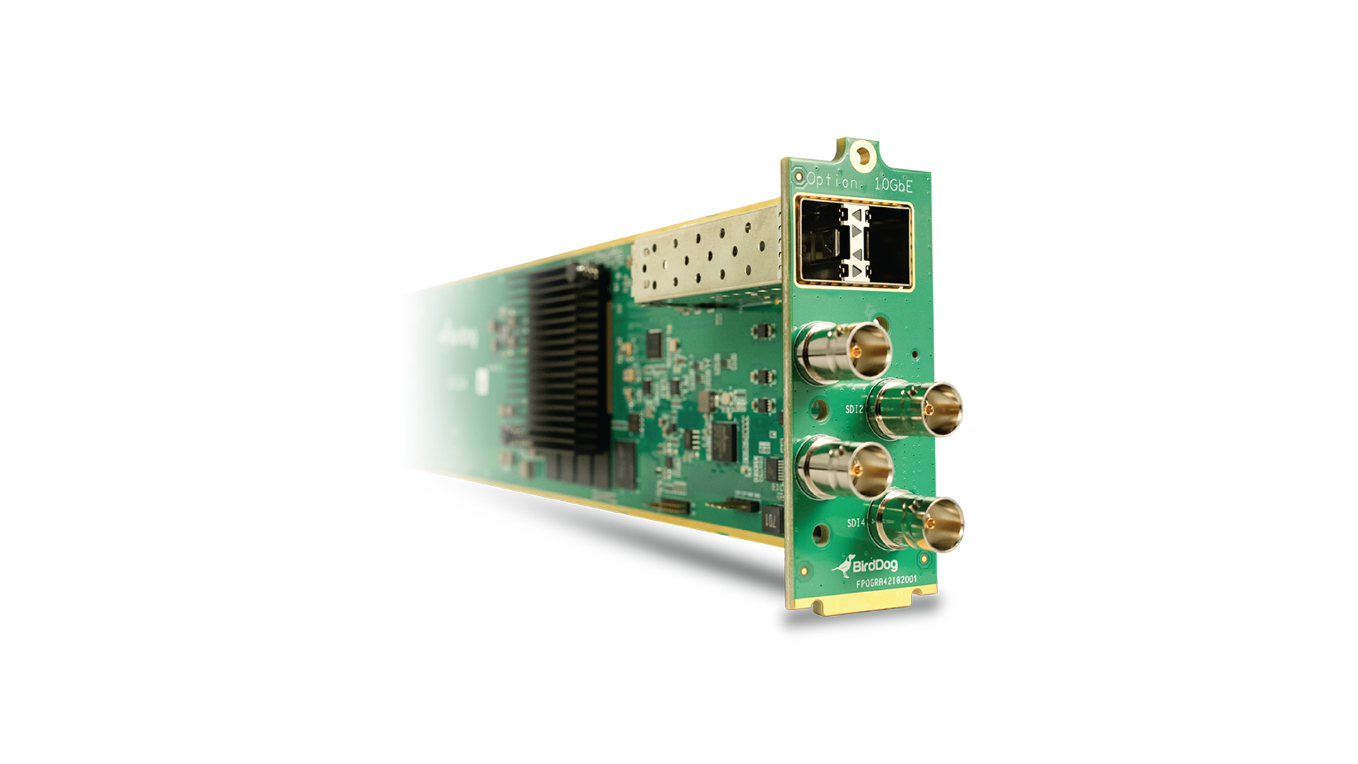 BirdDog 4-Channel 12G SDI OG