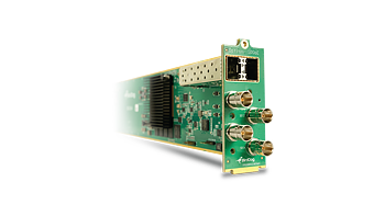 BirdDog 4-Channel 12G SDI OG