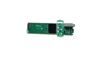 BirdDog 4-Channel 12G SDI OG
