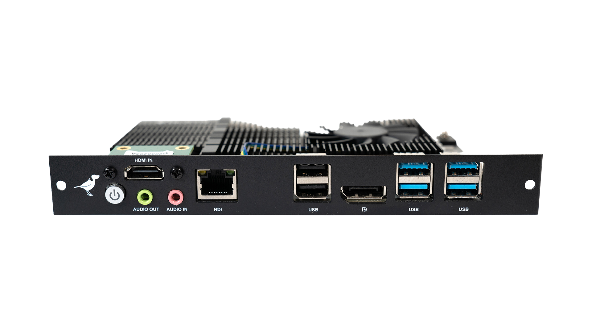BirdDog SDM-HDMI - 3