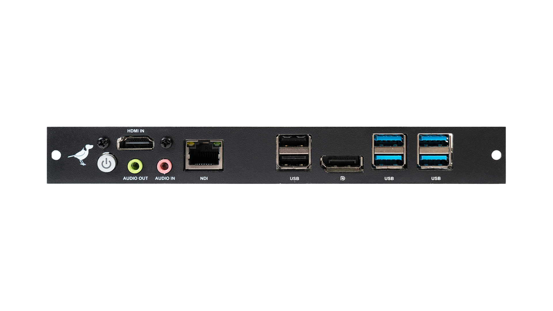 BirdDog SDM-HDMI