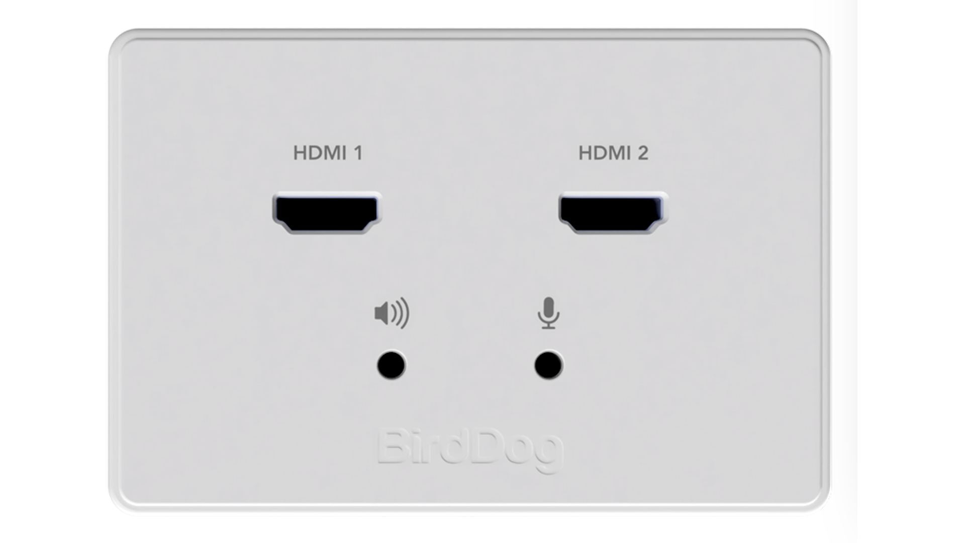 BirdDog Wall Plate Dual Input - 2
