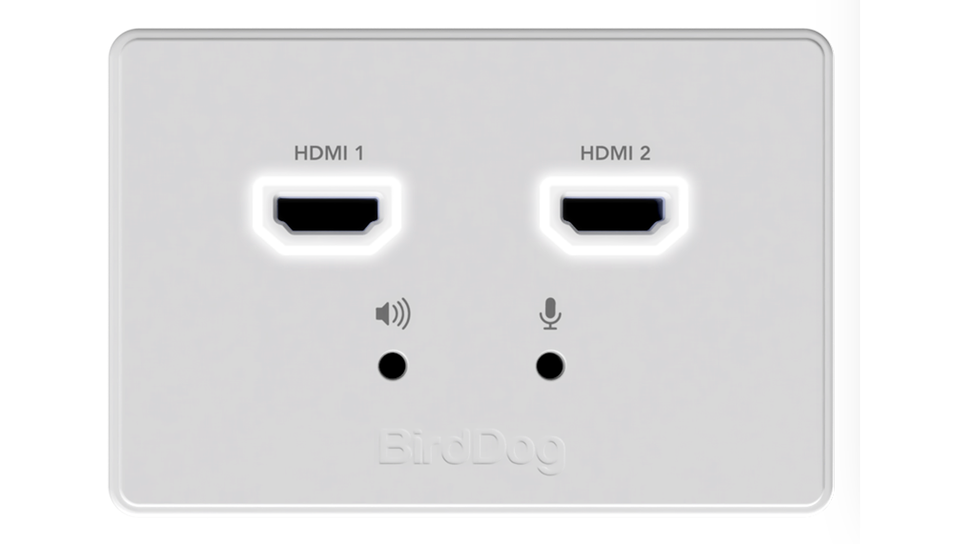 BirdDog Wall Plate Dual Input