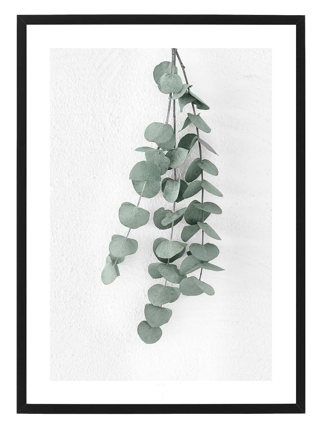 Poster Eucalyptus by Mujo Selected Nordic Design