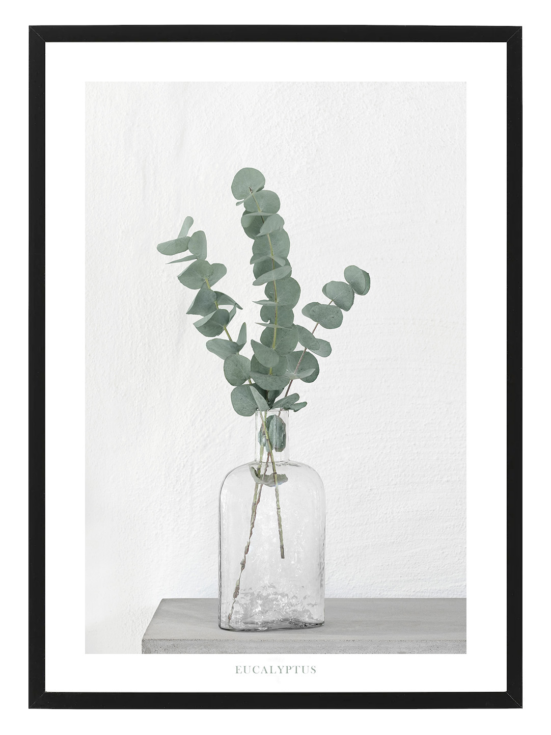 Poster Eucalyptus by Mujo