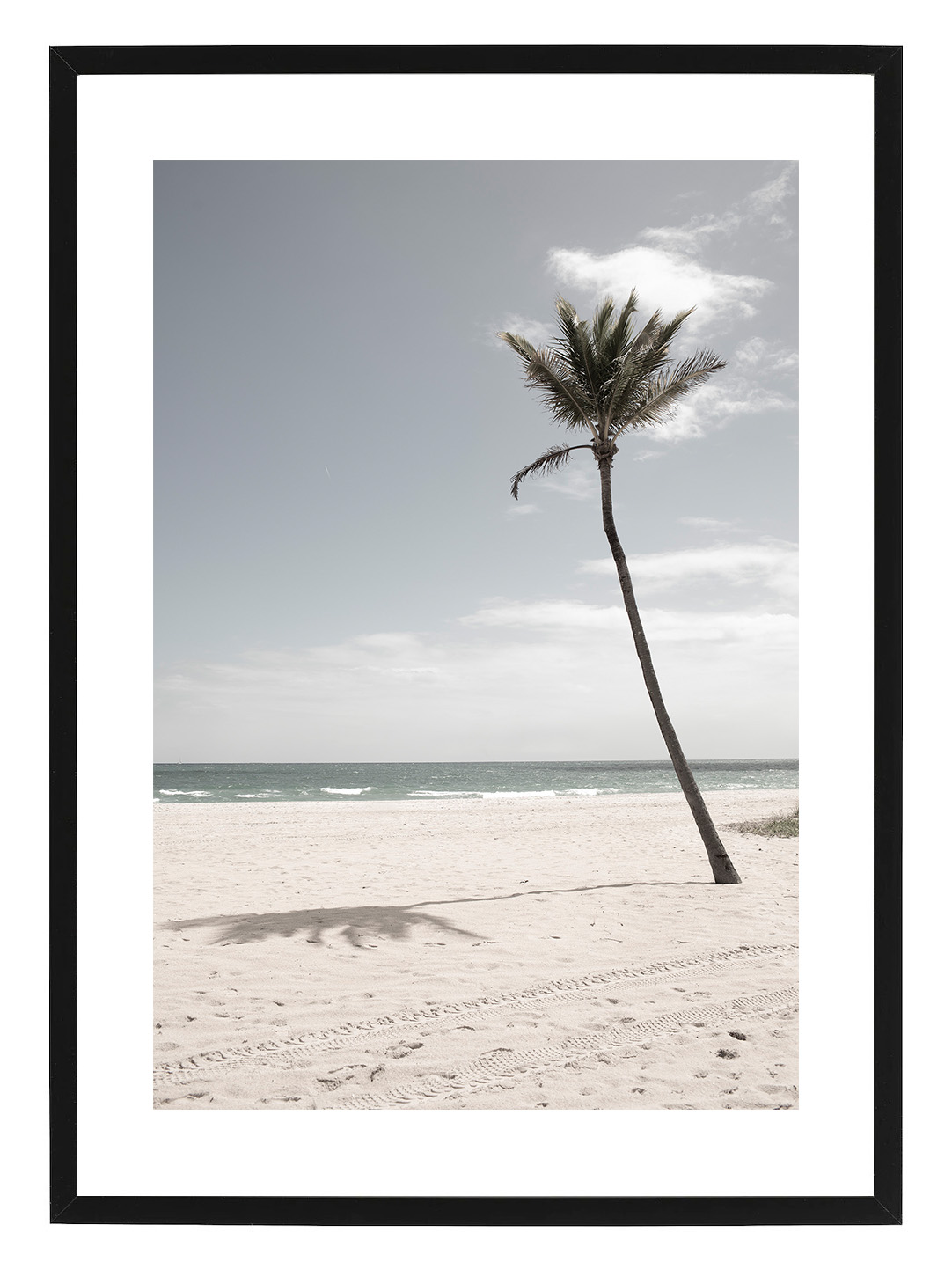 Poster Palm by Mujo