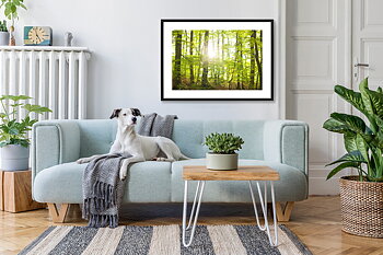 Poster Bokskog by Mujo
