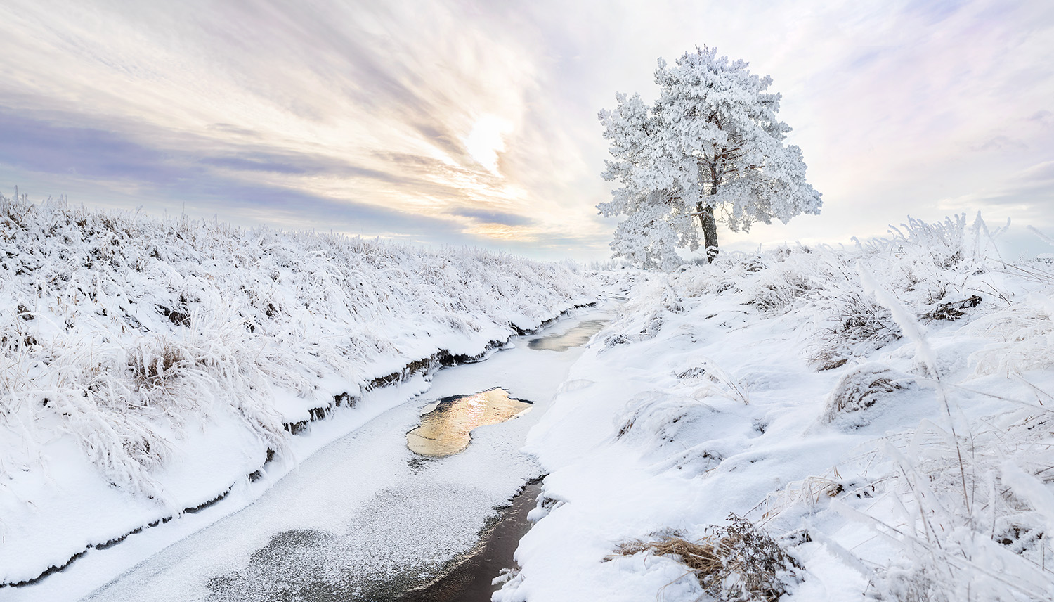 Poster Vinter by Mujo - 3