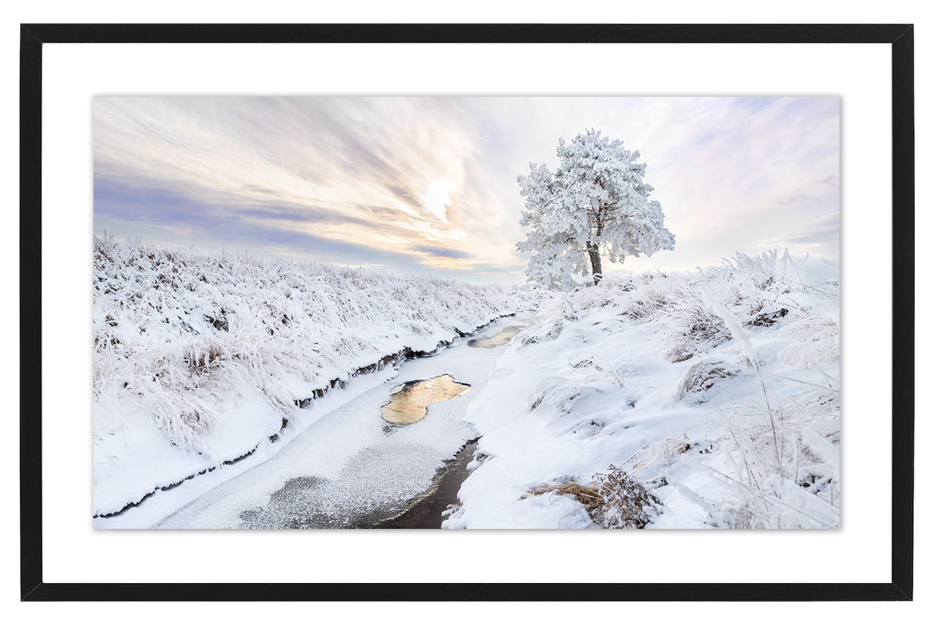 Poster Vinter by Mujo