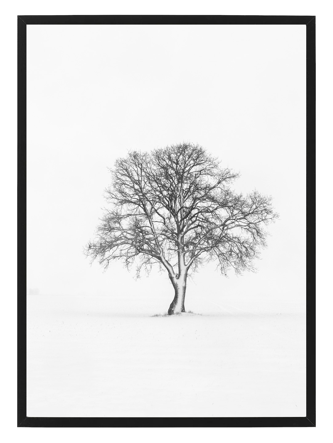 Poster Vinter by Mujo