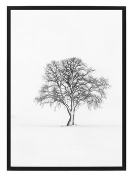 Poster Vinter by Mujo