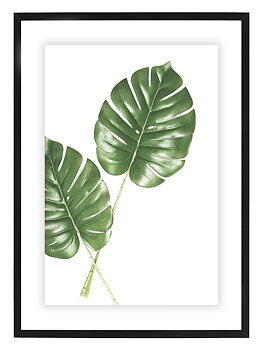Poster Philodendron by Mujo