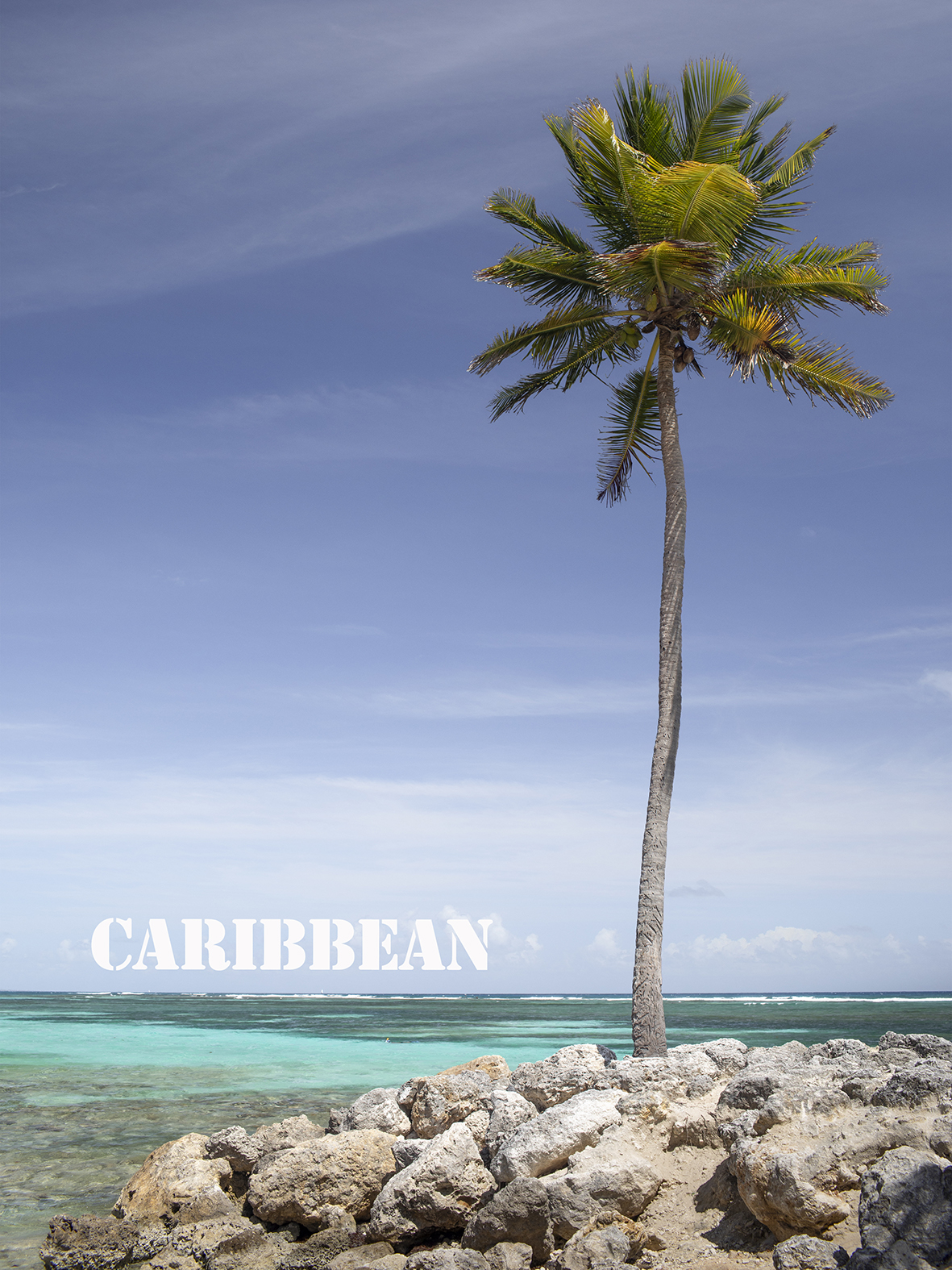 Hoodie Caribbean by History art - 3