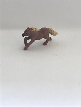 Häst