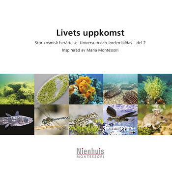 Livets uppkomst 