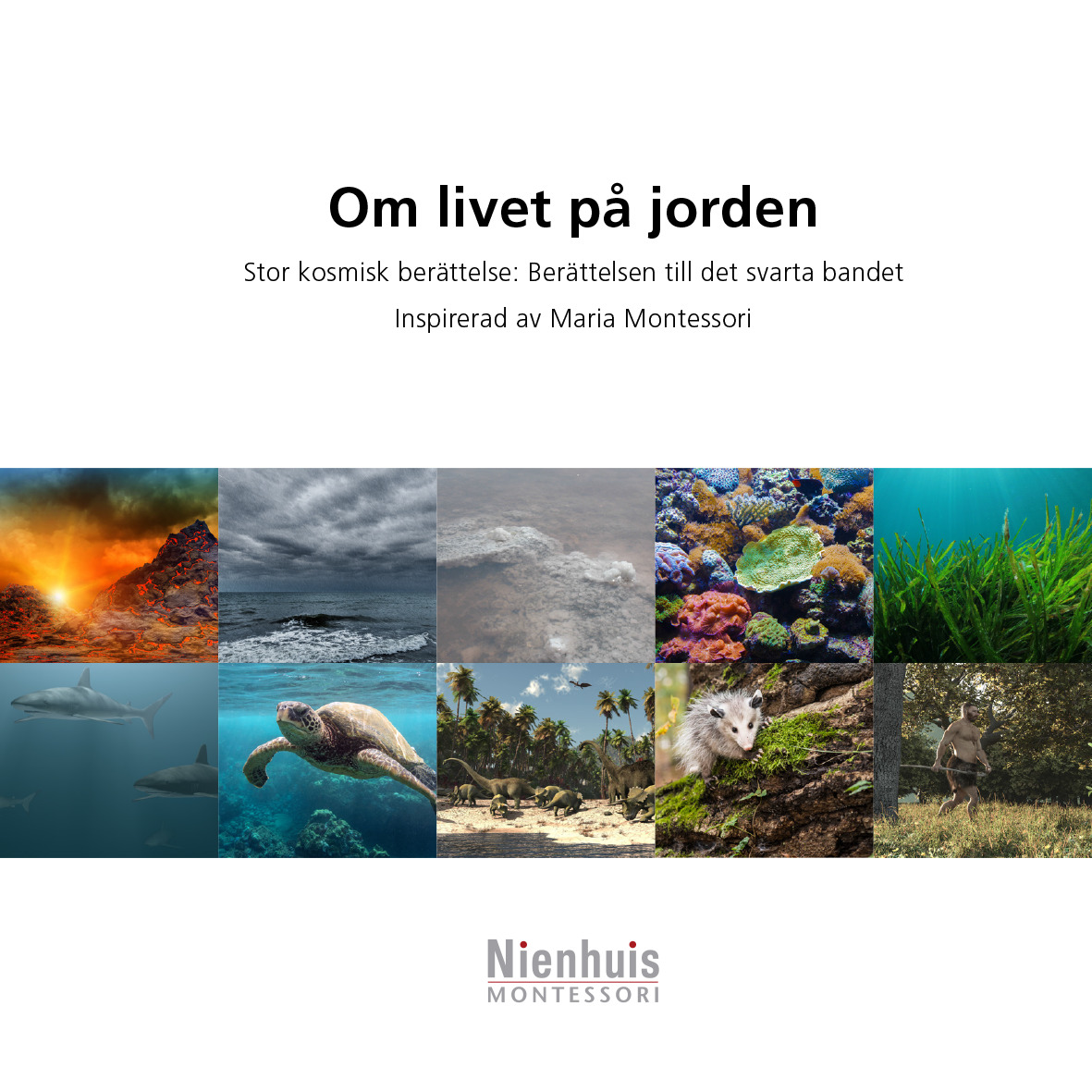 Om livet på jorden 
