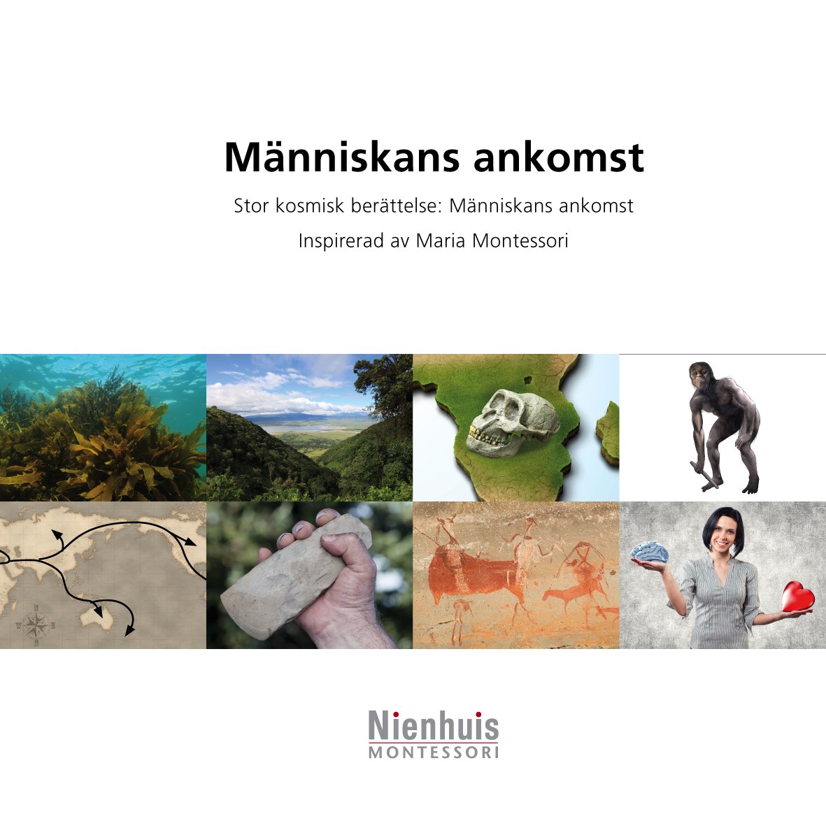 Människans ankomst 