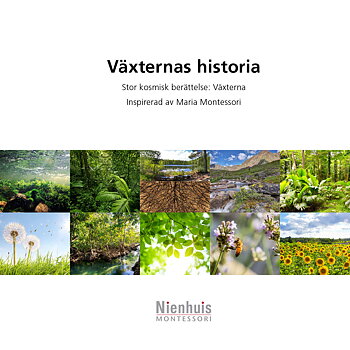 Växternas historia 