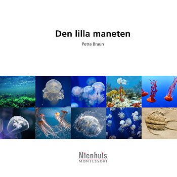 Den lilla maneten