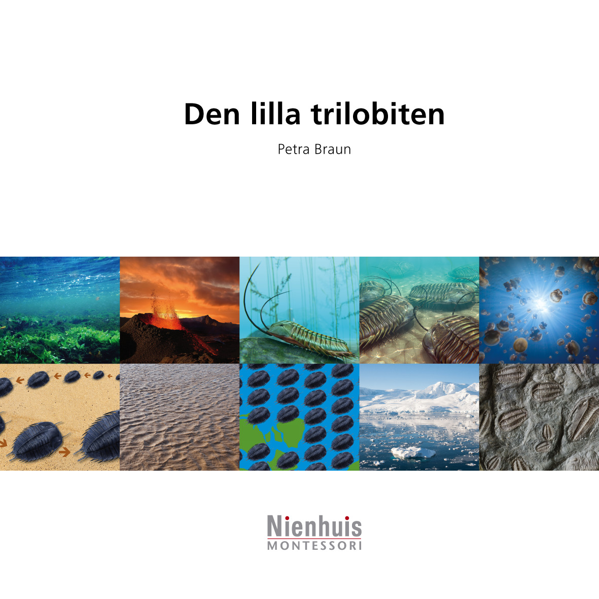 Den lilla Trilobiten