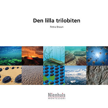 Den lilla Trilobiten