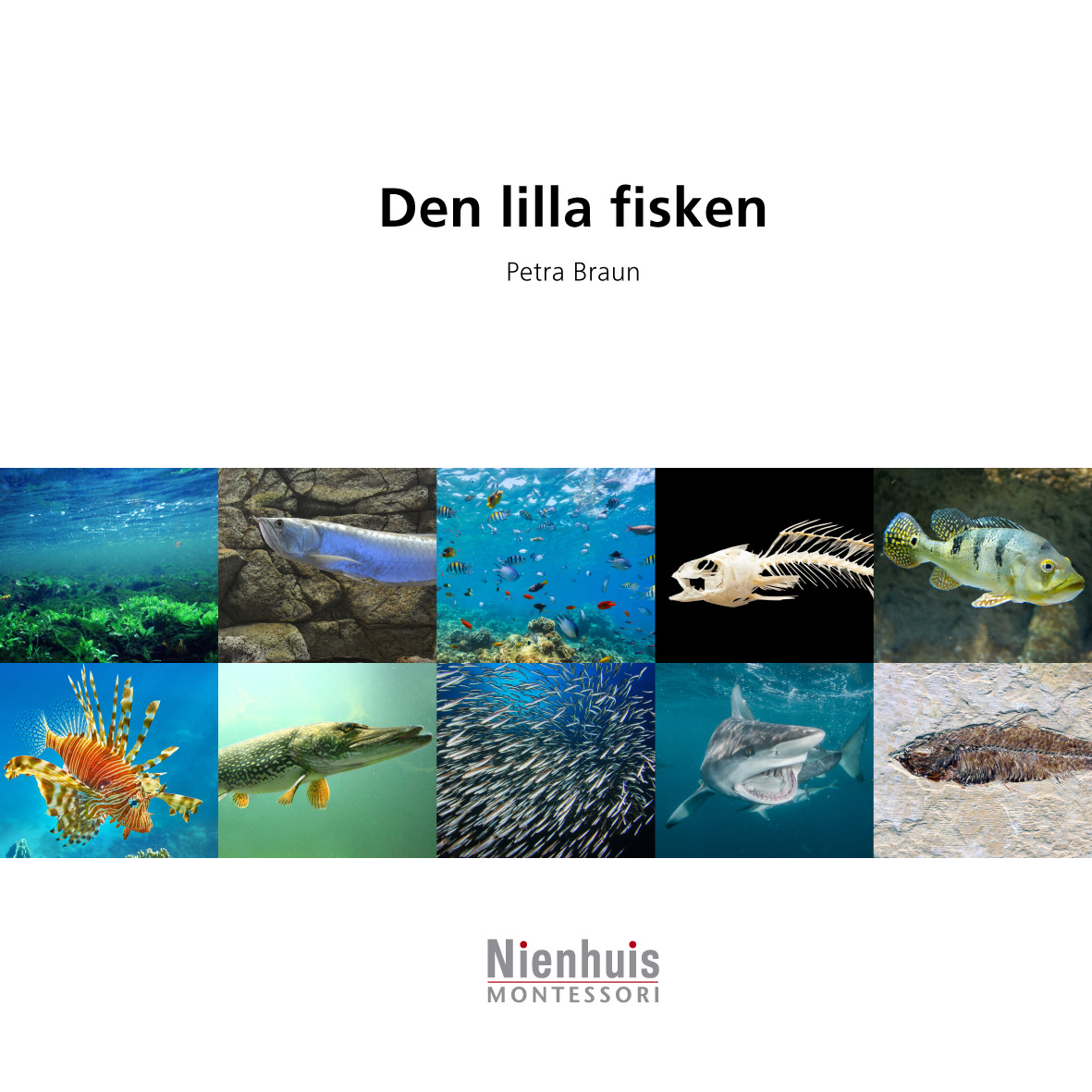 Den lilla fisken 