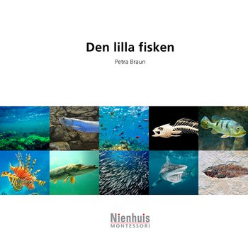 Den lilla fisken 