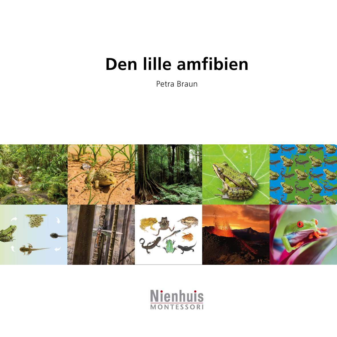 Den lille amfibien 