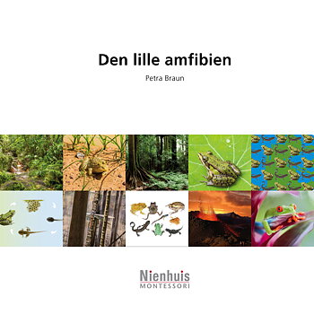 Den lille amfibien 