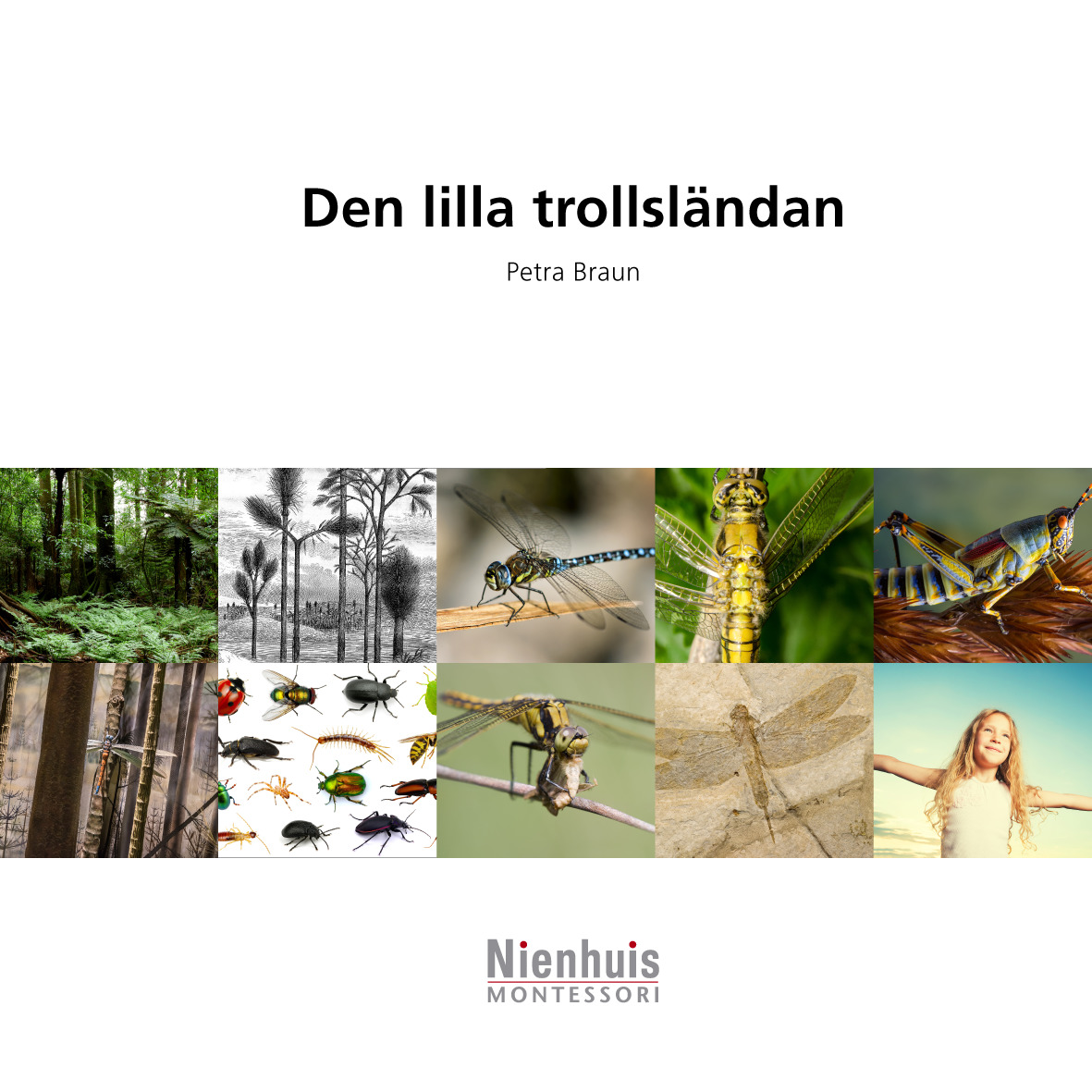 Den lilla trollsländan 